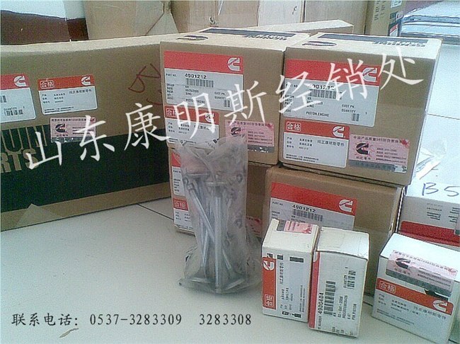供应进口康明斯皮带
